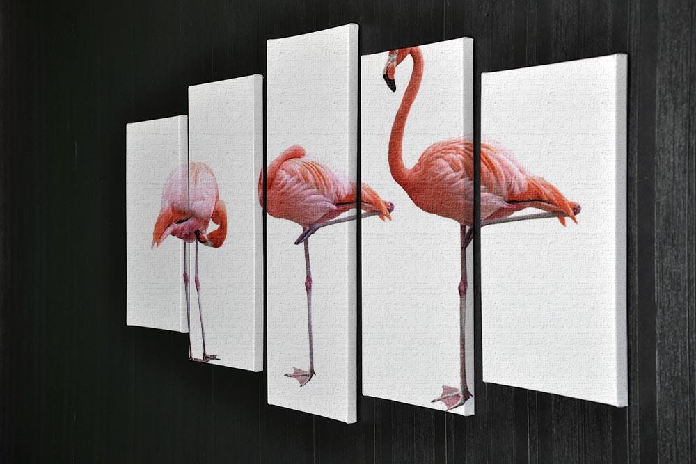Three flamingo birds isolated on white background 5 Split Panel Canvas - Canvas Art Rocks - 2