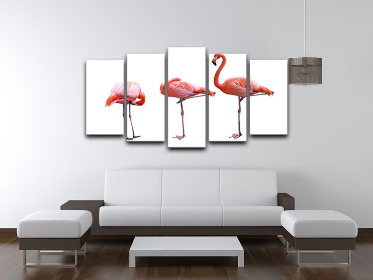 Three flamingo birds isolated on white background 5 Split Panel Canvas - Canvas Art Rocks - 3