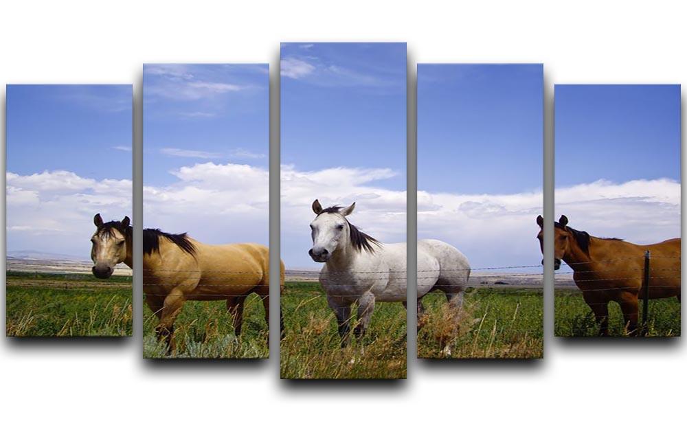 Three horses of a different color 5 Split Panel Canvas - Canvas Art Rocks - 1