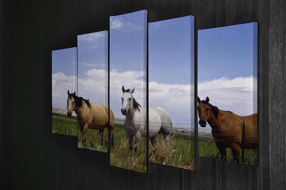 Three horses of a different color 5 Split Panel Canvas - Canvas Art Rocks - 2
