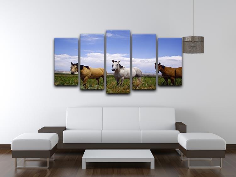 Three horses of a different color 5 Split Panel Canvas - Canvas Art Rocks - 3