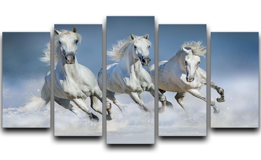 Three white horse run gallop in snow 5 Split Panel Canvas - Canvas Art Rocks - 1