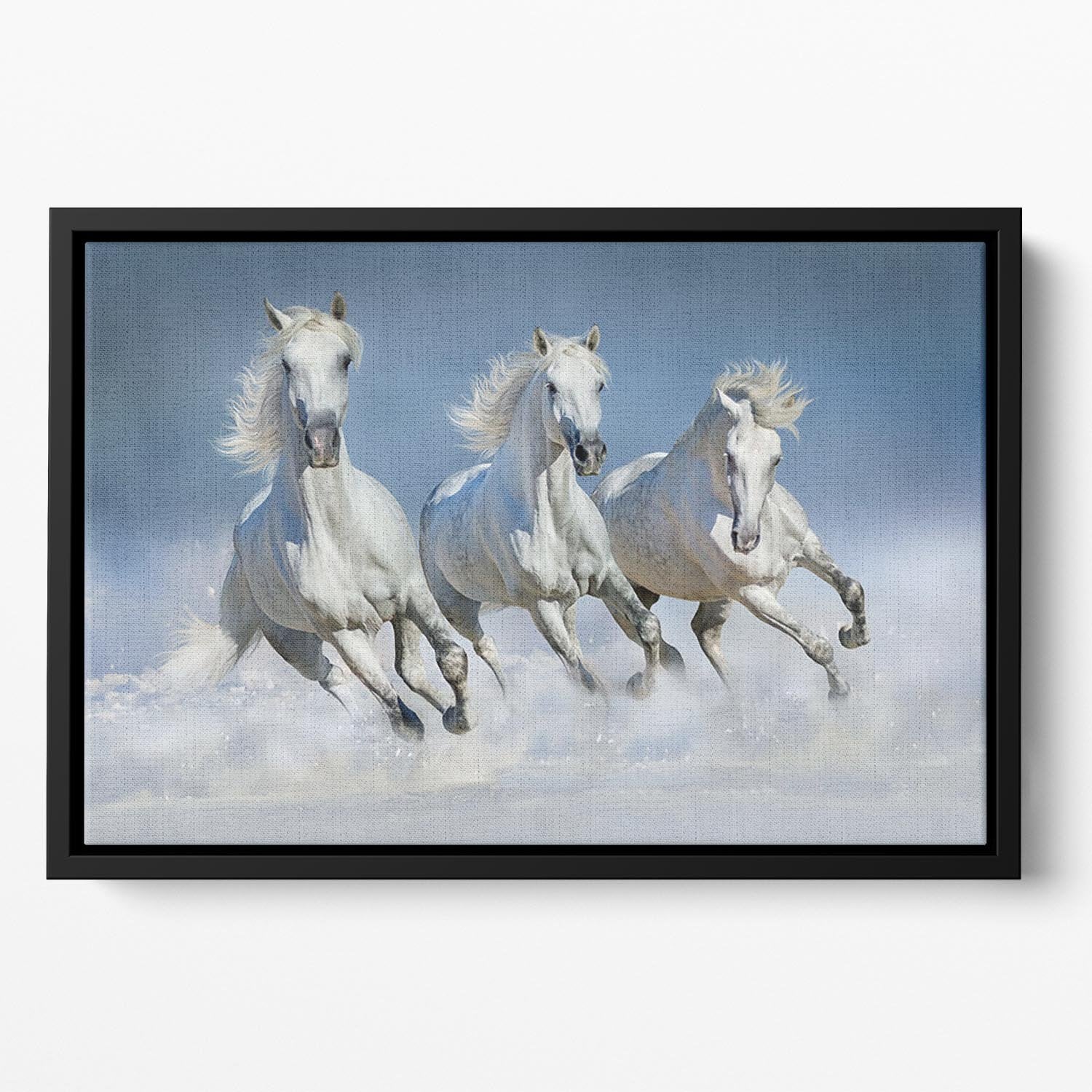 Three white horse run gallop in snow Floating Framed Canvas - Canvas Art Rocks - 2