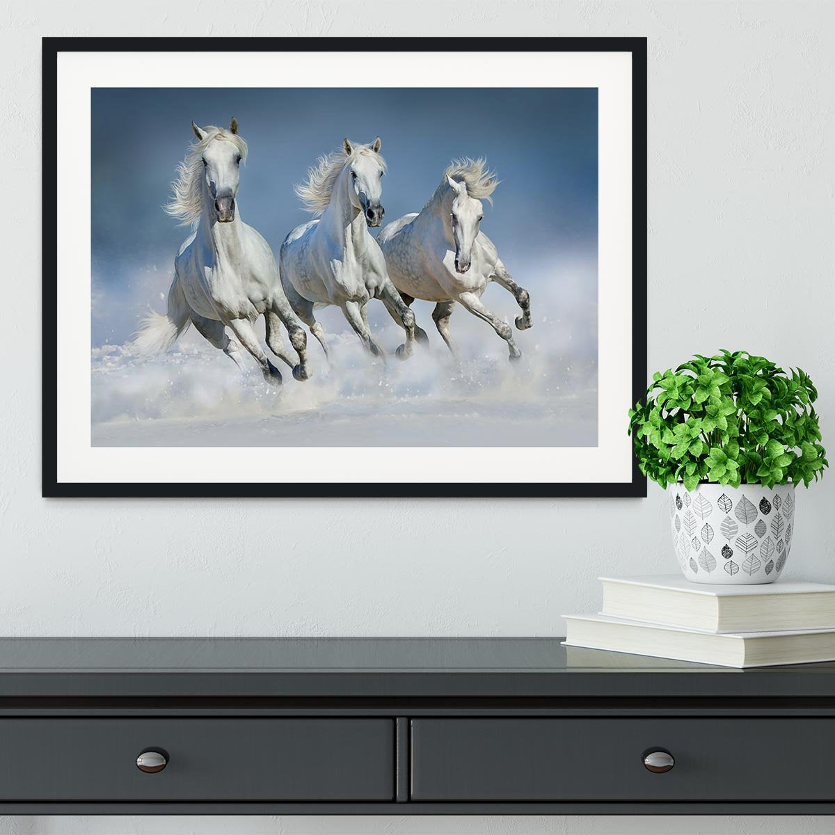 Three white horse run gallop in snow Framed Print - Canvas Art Rocks - 1