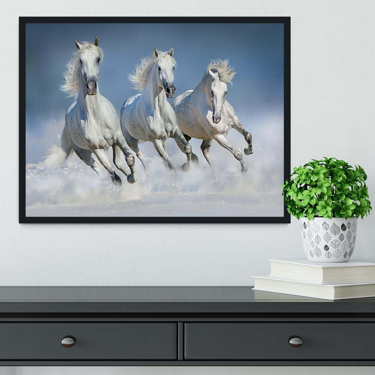 Three white horse run gallop in snow Framed Print - Canvas Art Rocks - 2