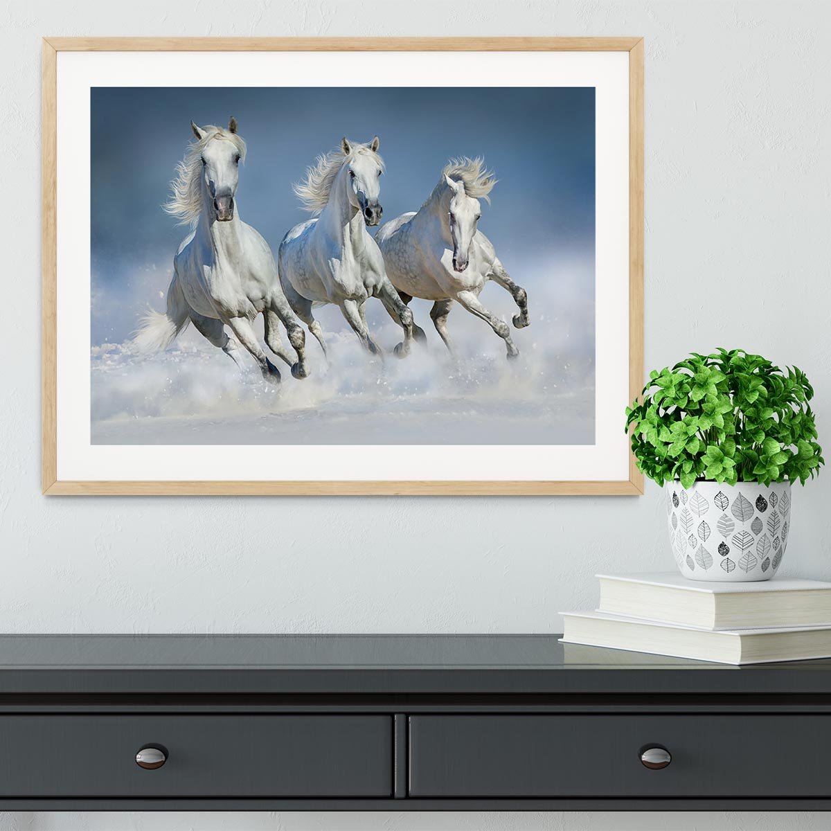 Three white horse run gallop in snow Framed Print - Canvas Art Rocks - 3