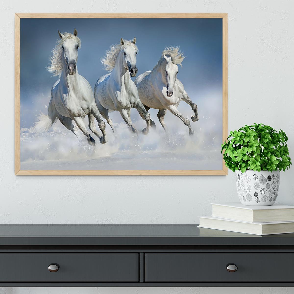 Three white horse run gallop in snow Framed Print - Canvas Art Rocks - 4