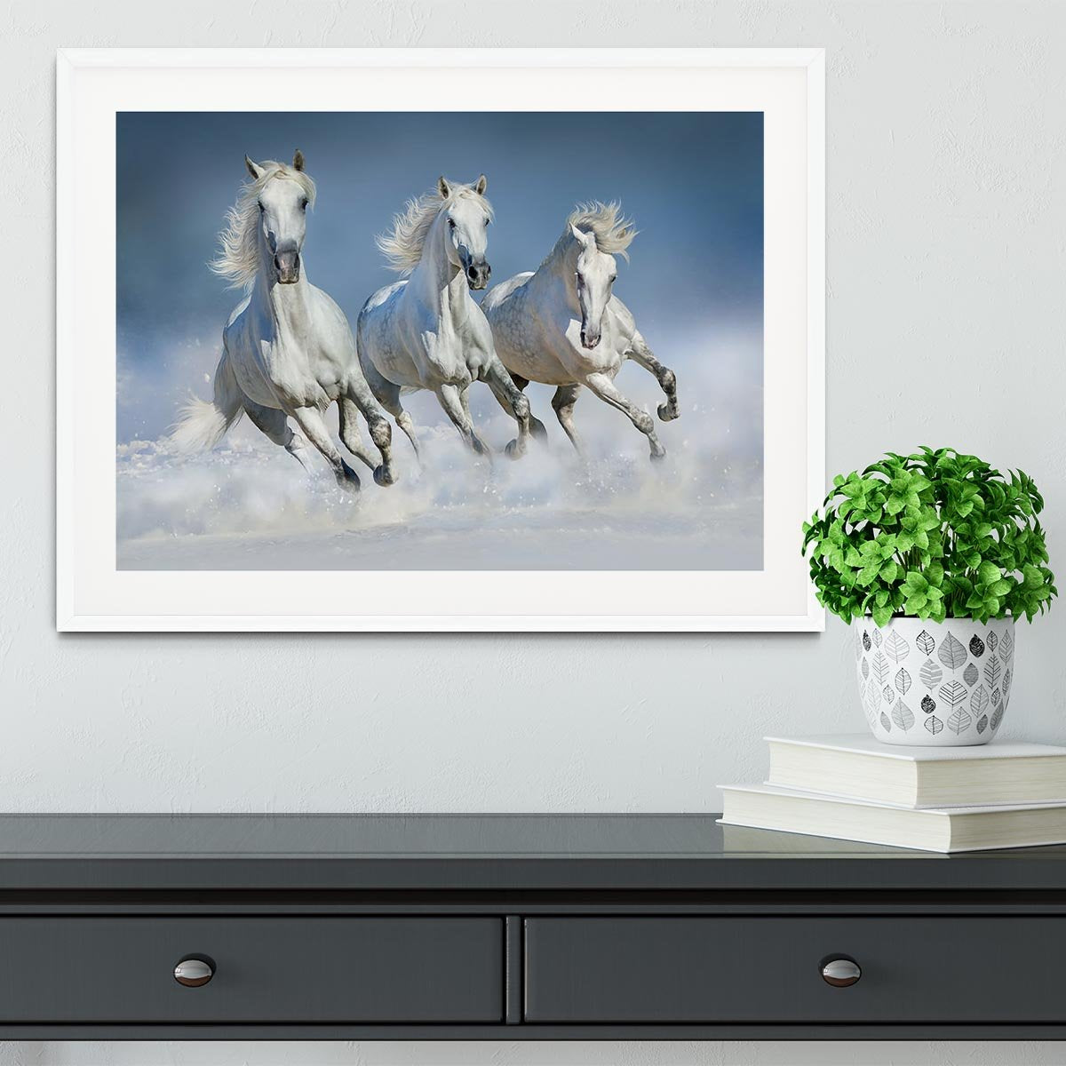 Three white horse run gallop in snow Framed Print - Canvas Art Rocks - 5