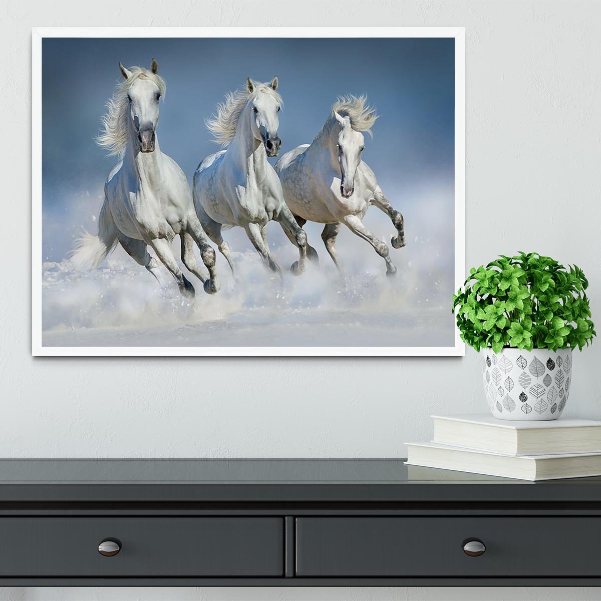 Three white horse run gallop in snow Framed Print - Canvas Art Rocks -6
