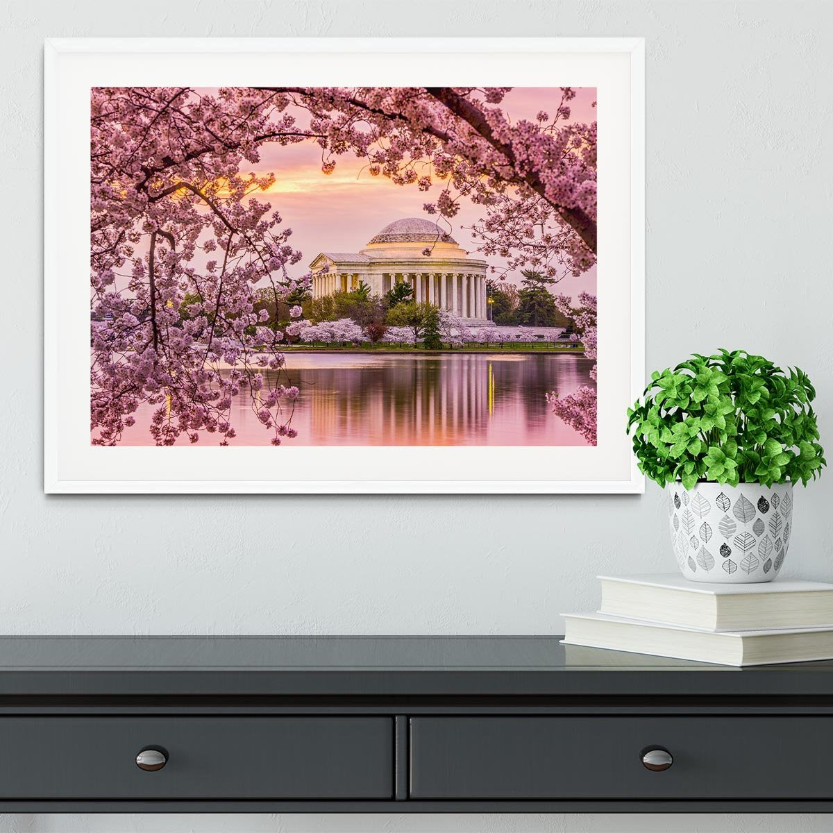 Tidal Basin and Jefferson Memorial cherry blossom season Framed Print - Canvas Art Rocks - 5