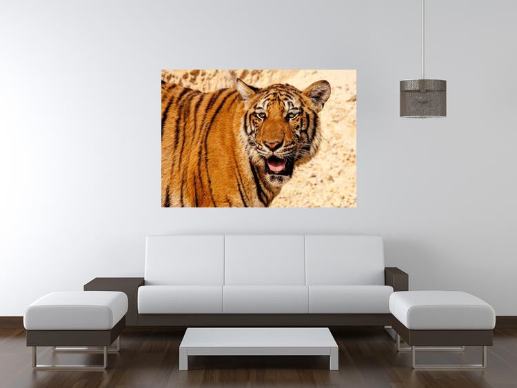 Tiger In The Heat Print - Canvas Art Rocks - 4