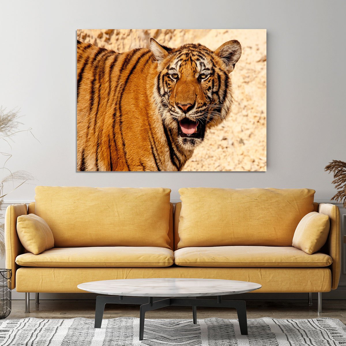 Tiger In The Heat Canvas Print or Poster