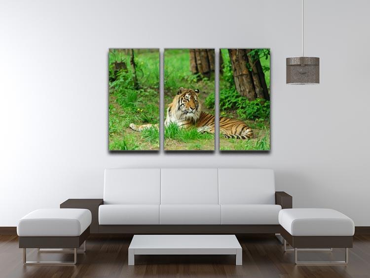 Tiger on the green grass 3 Split Panel Canvas Print - Canvas Art Rocks - 3