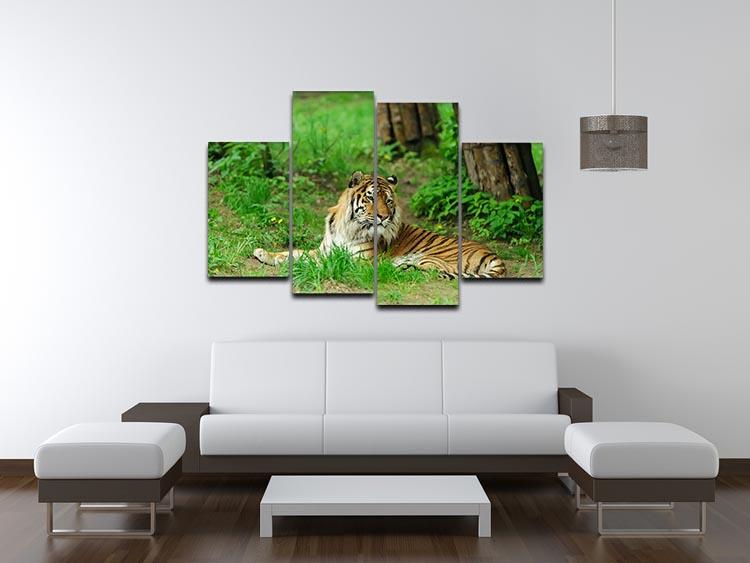 Tiger on the green grass 4 Split Panel Canvas - Canvas Art Rocks - 3