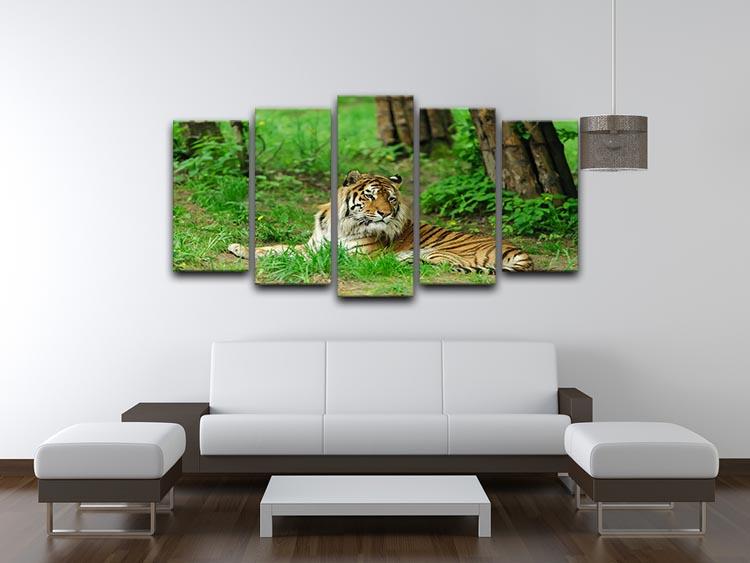 Tiger on the green grass 5 Split Panel Canvas - Canvas Art Rocks - 3