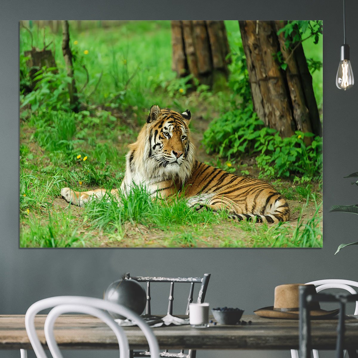 Tiger on the green grass Canvas Print or Poster