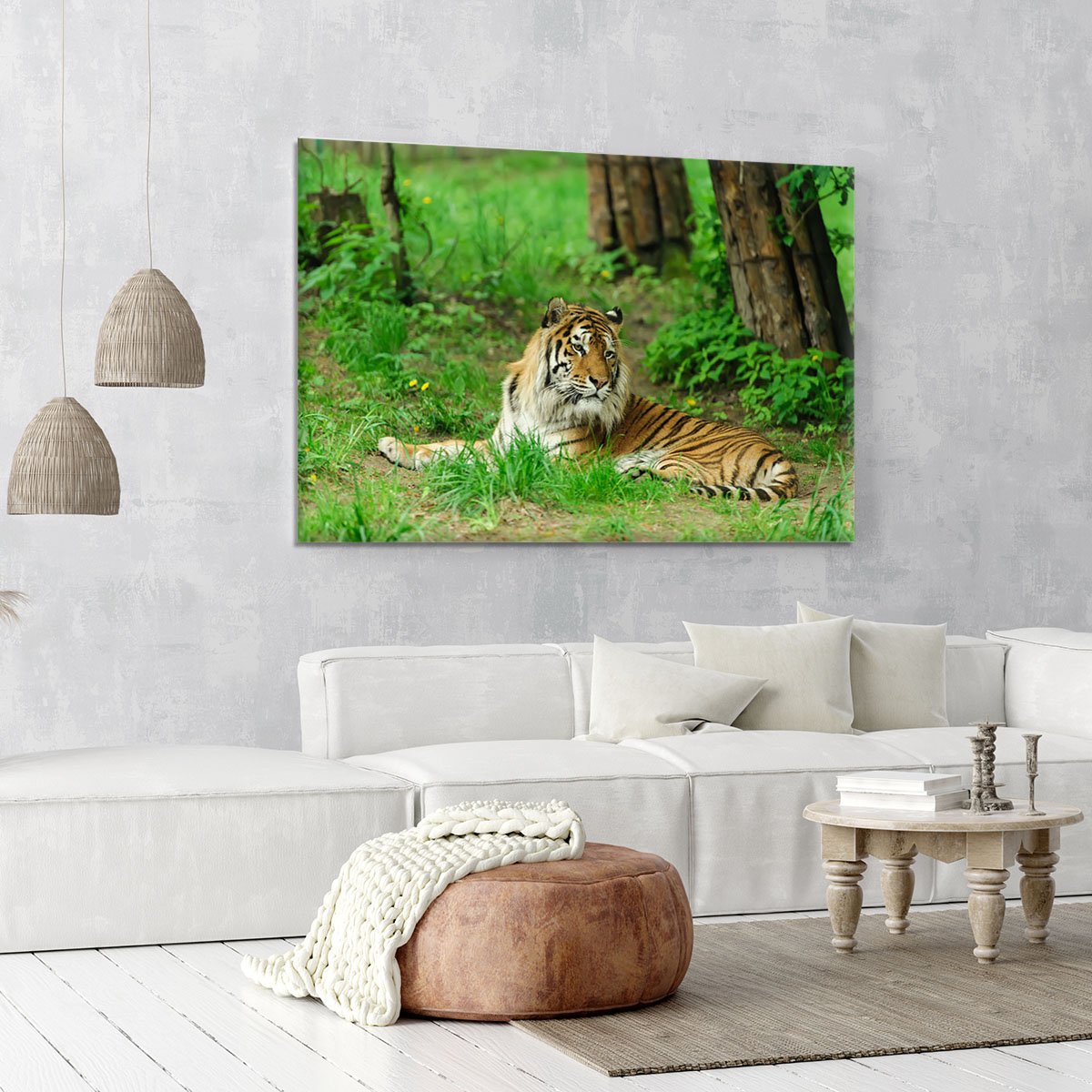 Tiger on the green grass Canvas Print or Poster