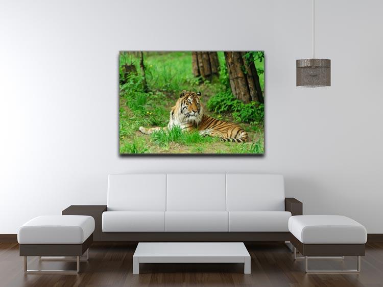 Tiger on the green grass Canvas Print or Poster - Canvas Art Rocks - 4