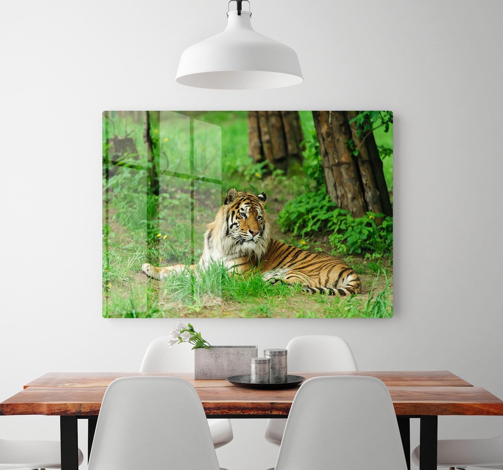 Tiger on the green grass HD Metal Print - Canvas Art Rocks - 2