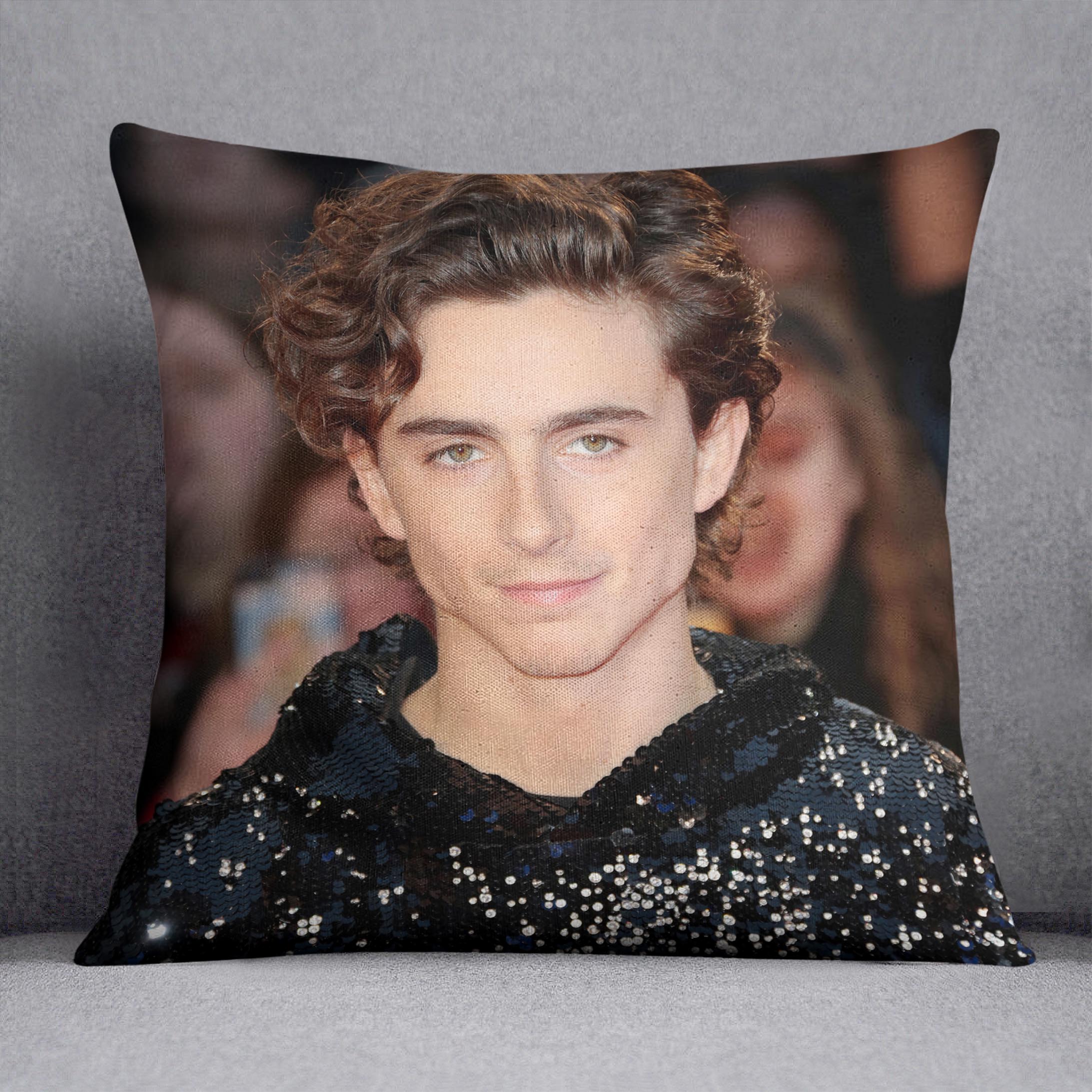 Timothée Chalamet Cushion - Canvas Art Rocks - 1