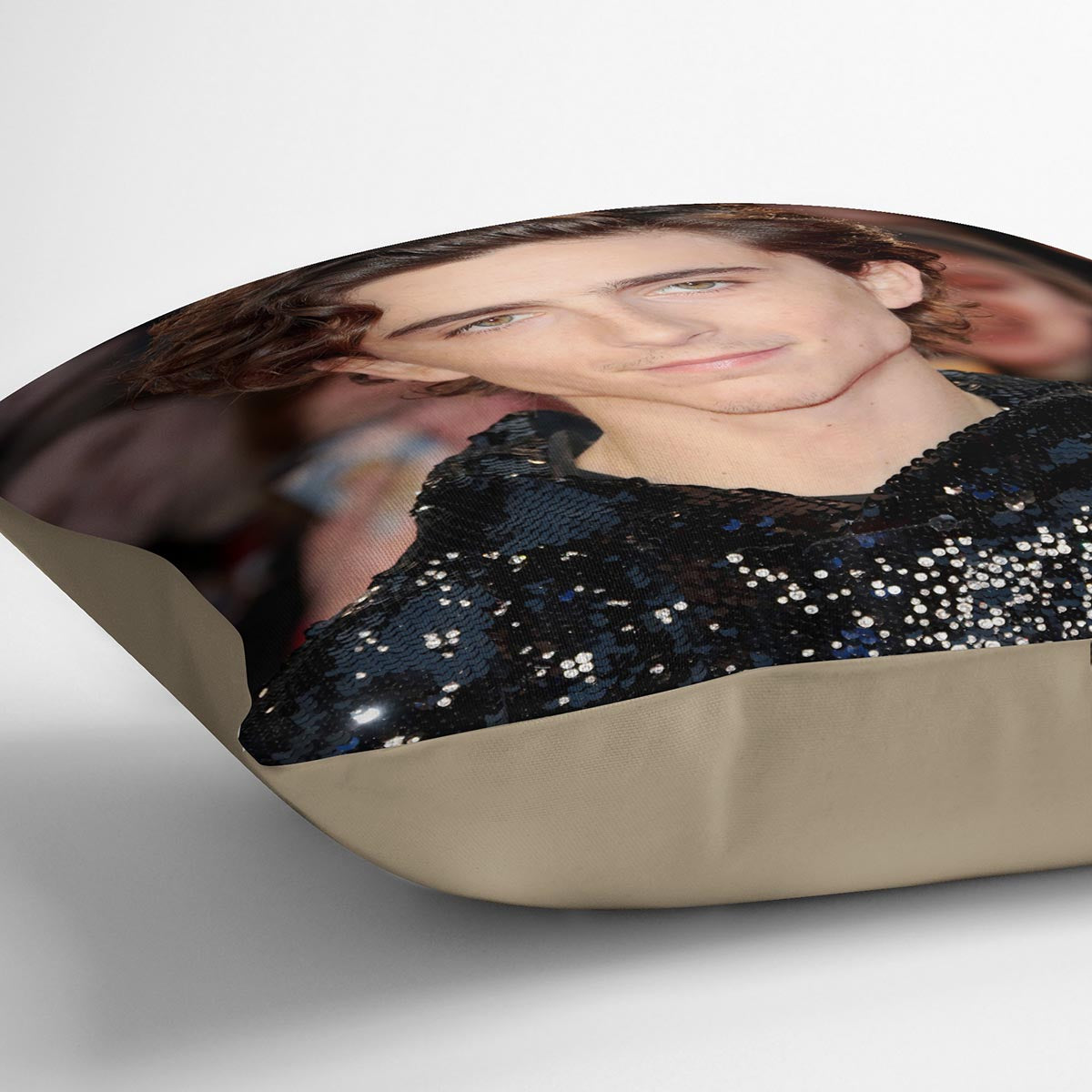 Timothée Chalamet Cushion - Canvas Art Rocks - 2