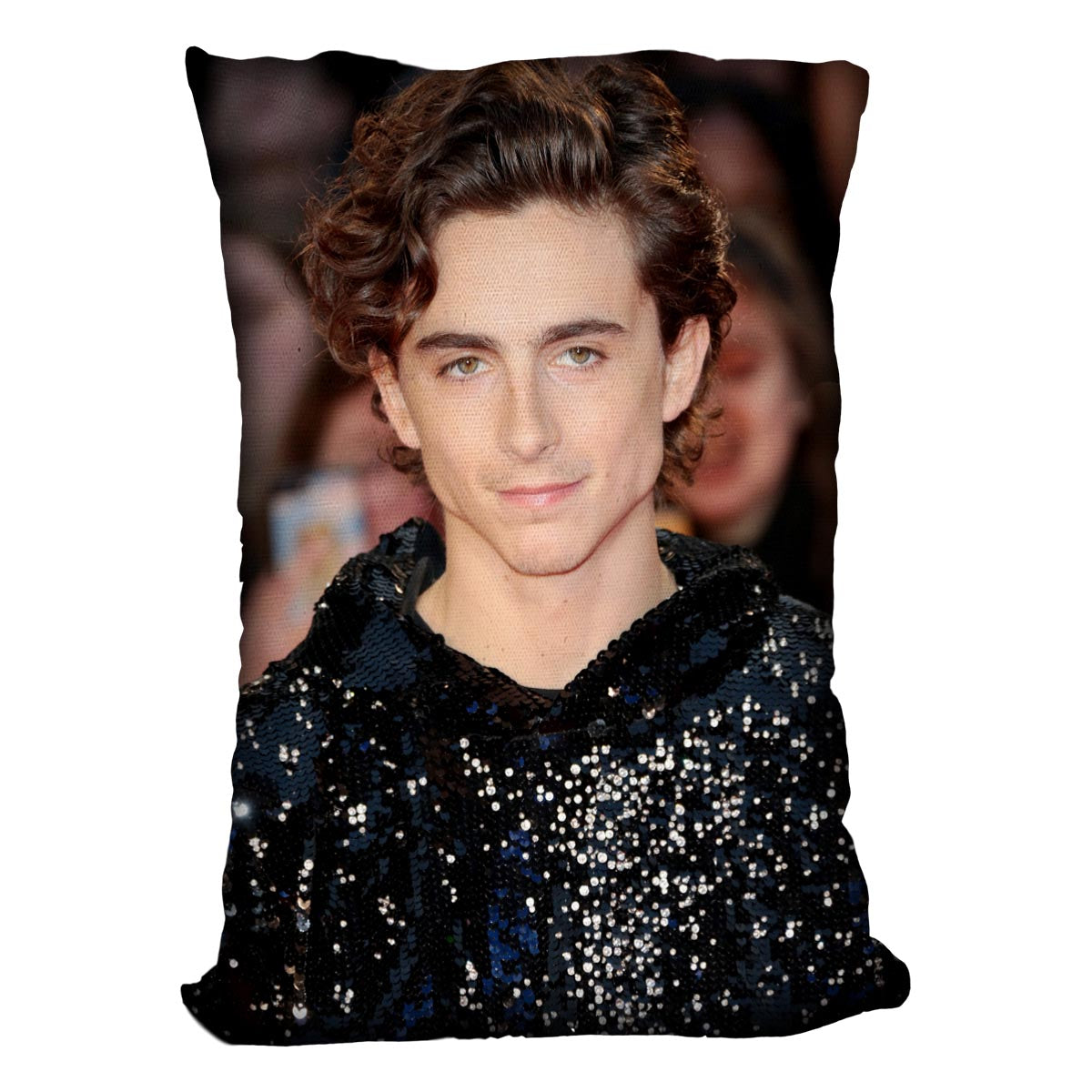 Timothée Chalamet Cushion - Canvas Art Rocks - 4