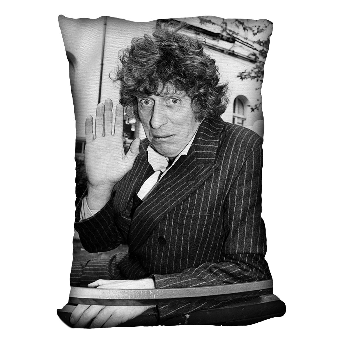 Tom Baker Cushion