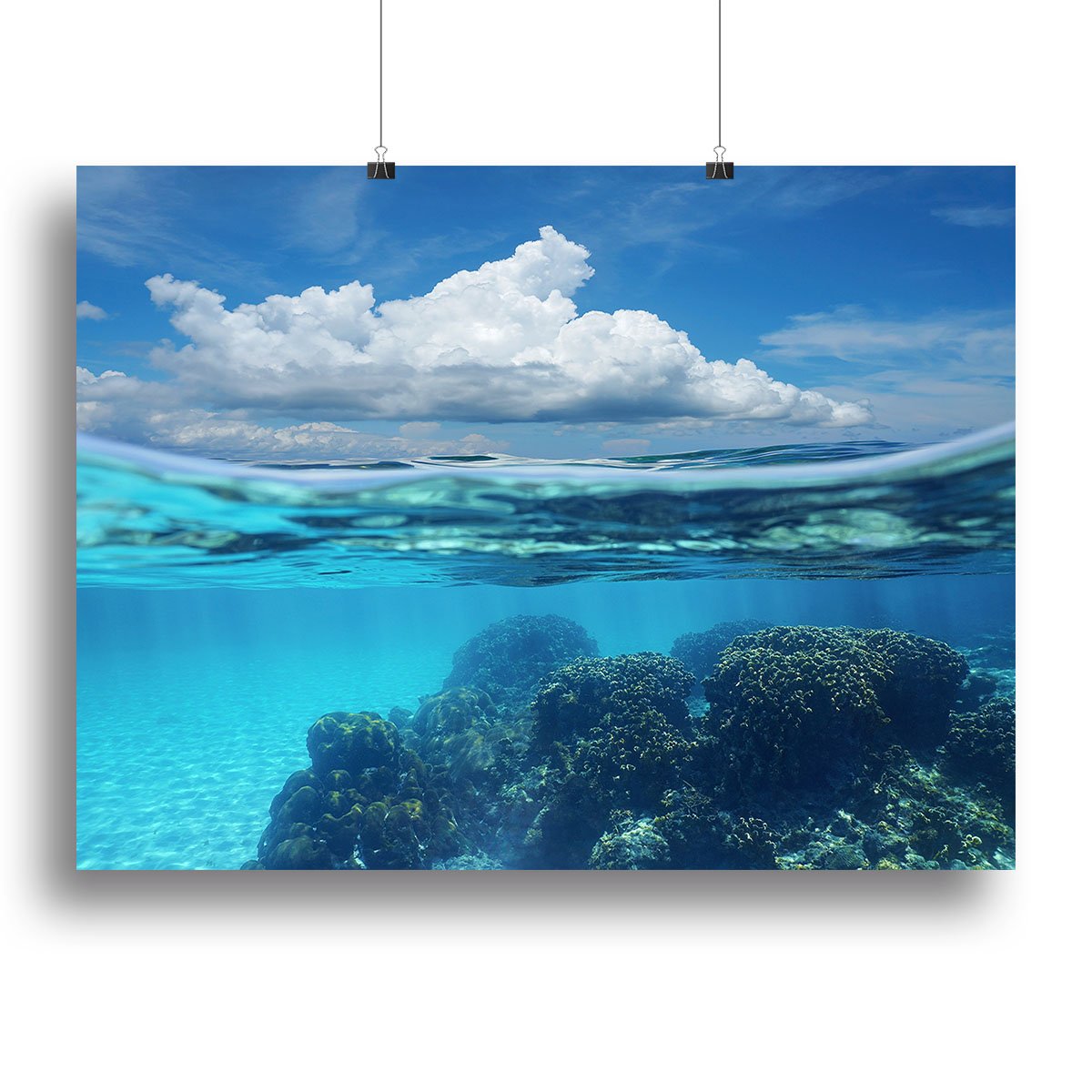 Top half with blue sky and cloud Canvas Print or Poster