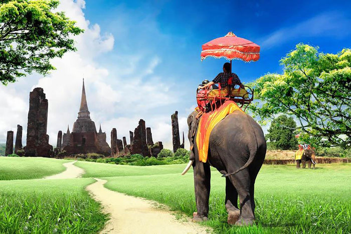 Travel concept tourists on an elephant Wall Mural Wallpaper