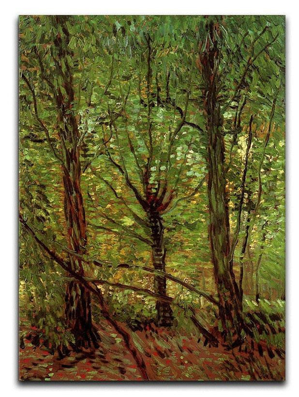 Trees and Undergrowth by Van Gogh Canvas Print & Poster  - Canvas Art Rocks - 1