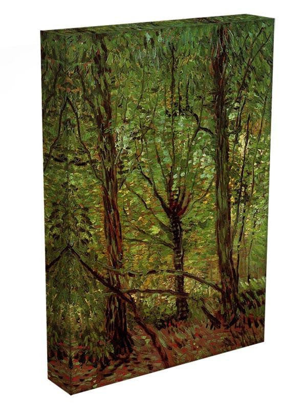 Trees and Undergrowth by Van Gogh Canvas Print & Poster - Canvas Art Rocks - 3