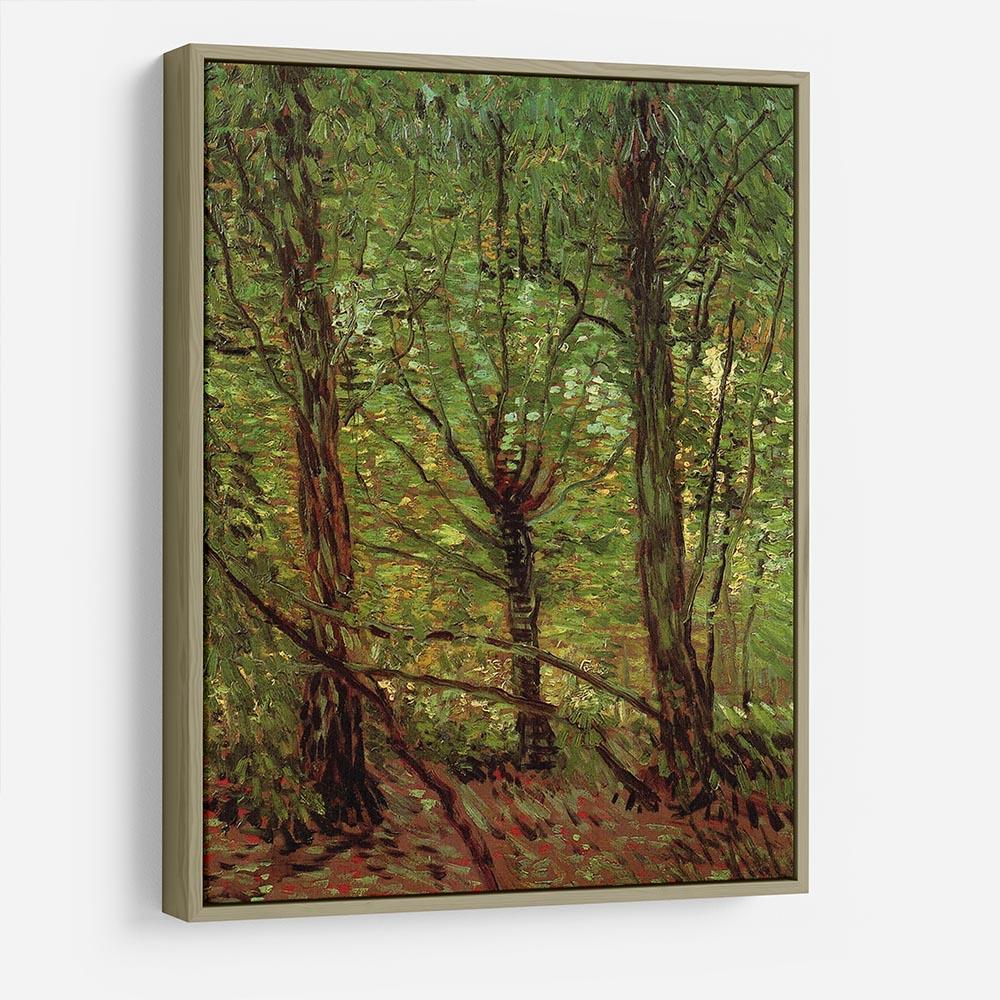 Trees and Undergrowth by Van Gogh HD Metal Print