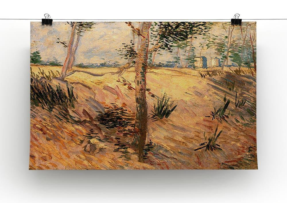 Trees in a Field on a Sunny Day by Van Gogh Canvas Print & Poster - Canvas Art Rocks - 2