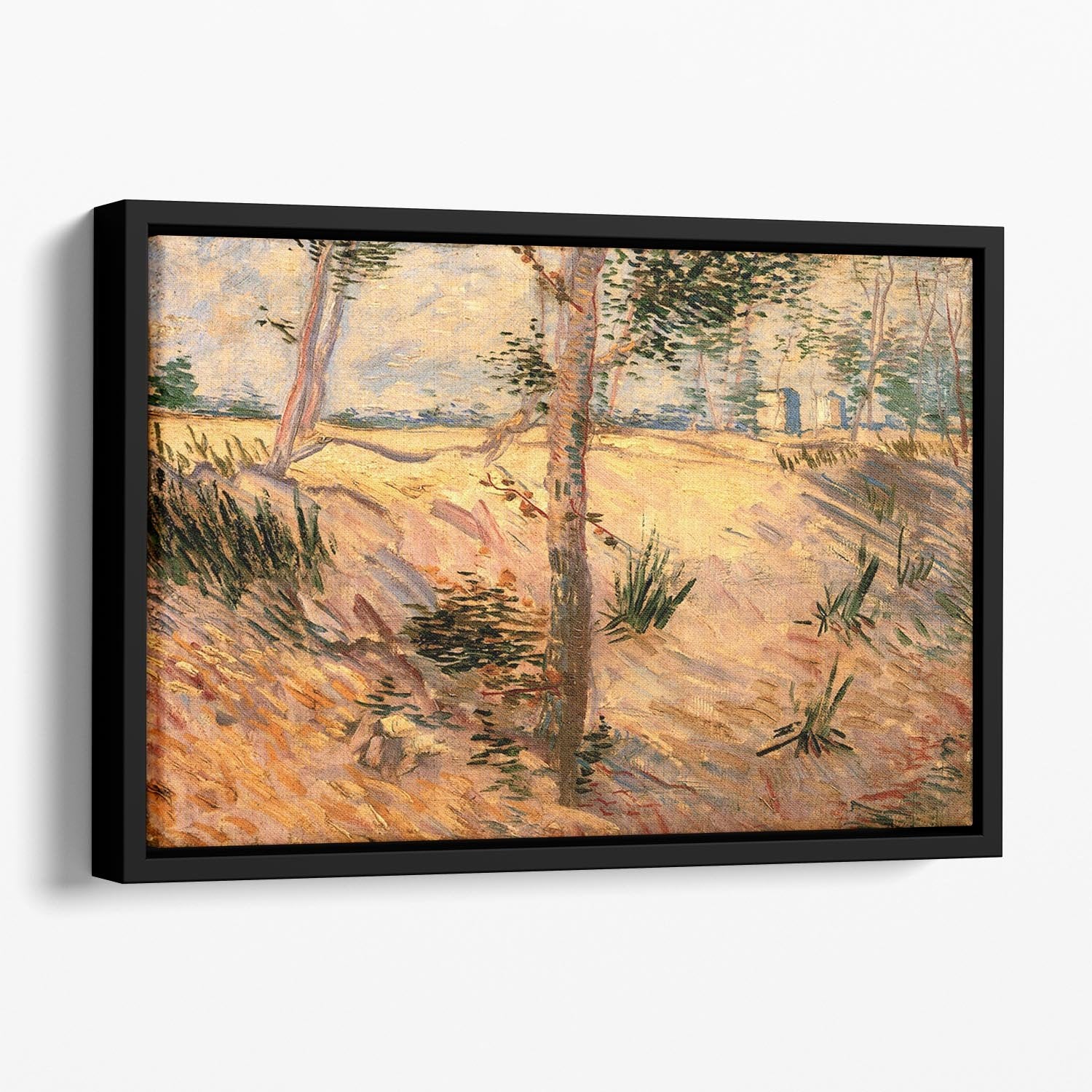 Trees in a Field on a Sunny Day by Van Gogh Floating Framed Canvas