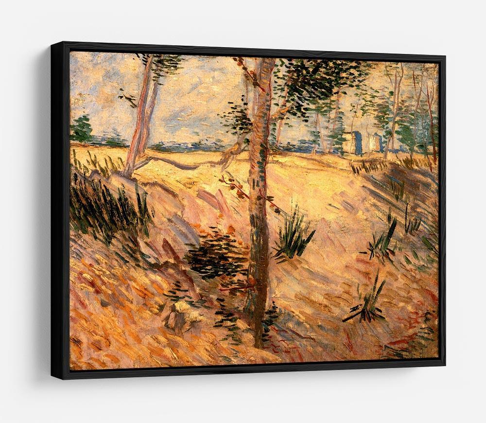 Trees in a Field on a Sunny Day by Van Gogh HD Metal Print