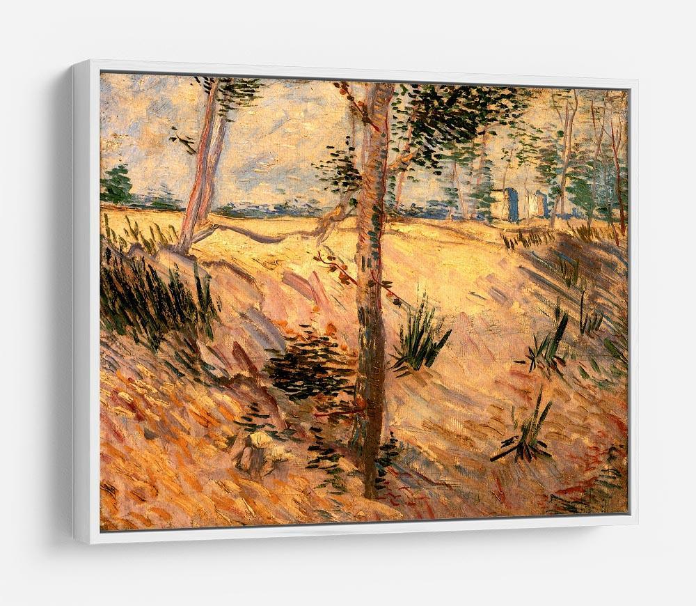 Trees in a Field on a Sunny Day by Van Gogh HD Metal Print