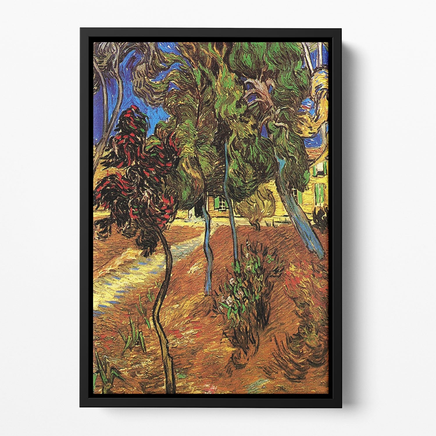 Trees in the Garden of Saint-Paul Hospital 2 by Van Gogh Floating Framed Canvas