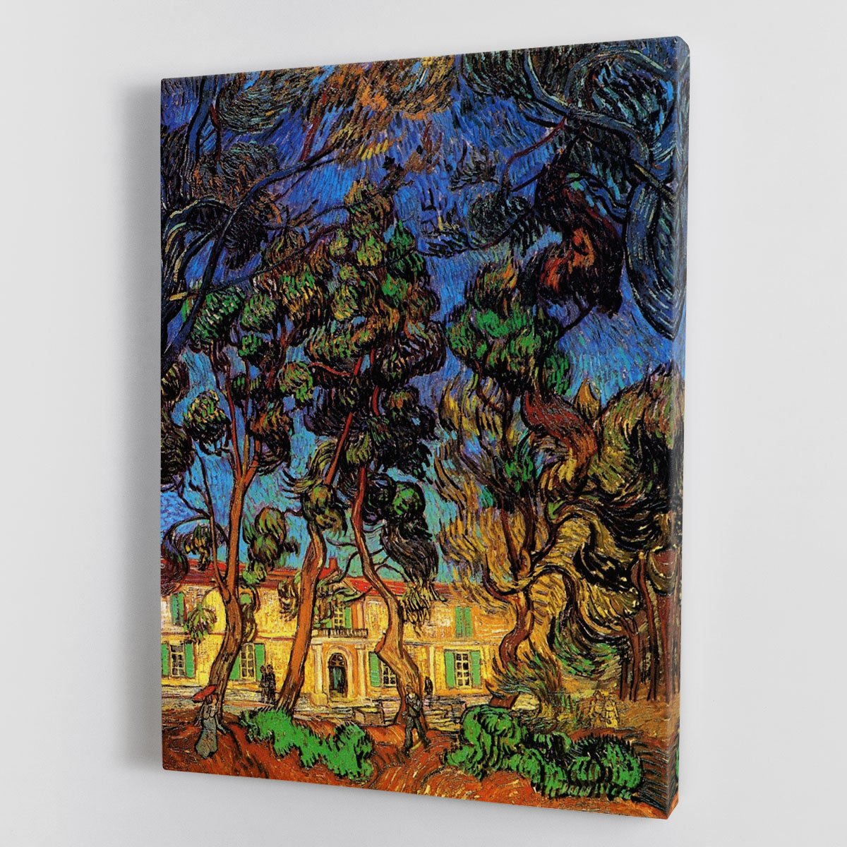 Trees in the Garden of Saint-Paul Hospital by Van Gogh Canvas Print or Poster