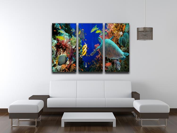 Tropical Anthias fish with net fire corals and shark on Red Sea reef 3 Split Panel Canvas Print - Canvas Art Rocks - 3