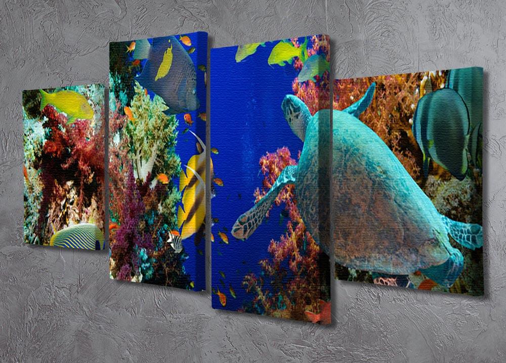 Tropical Anthias fish with net fire corals and shark on Red Sea reef 4 Split Panel Canvas - Canvas Art Rocks - 2