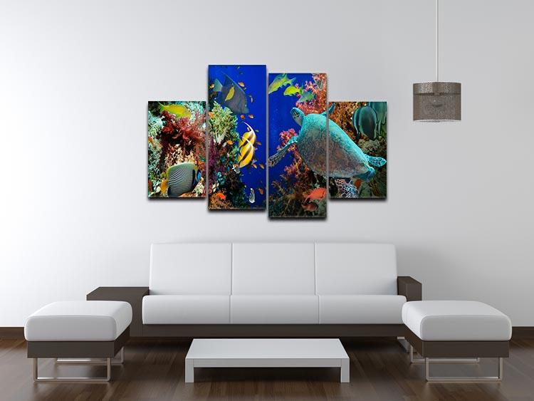 Tropical Anthias fish with net fire corals and shark on Red Sea reef 4 Split Panel Canvas - Canvas Art Rocks - 3