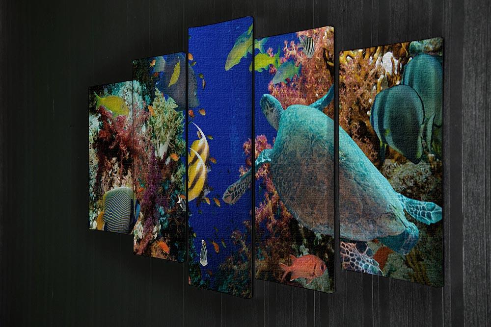 Tropical Anthias fish with net fire corals and shark on Red Sea reef 5 Split Panel Canvas - Canvas Art Rocks - 2