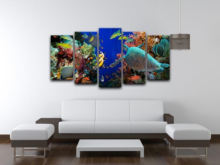Tropical Anthias fish with net fire corals and shark on Red Sea reef 5 Split Panel Canvas - Canvas Art Rocks - 3