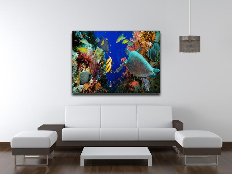 Tropical Anthias fish with net fire corals and shark on Red Sea reef Canvas Print or Poster - Canvas Art Rocks - 4