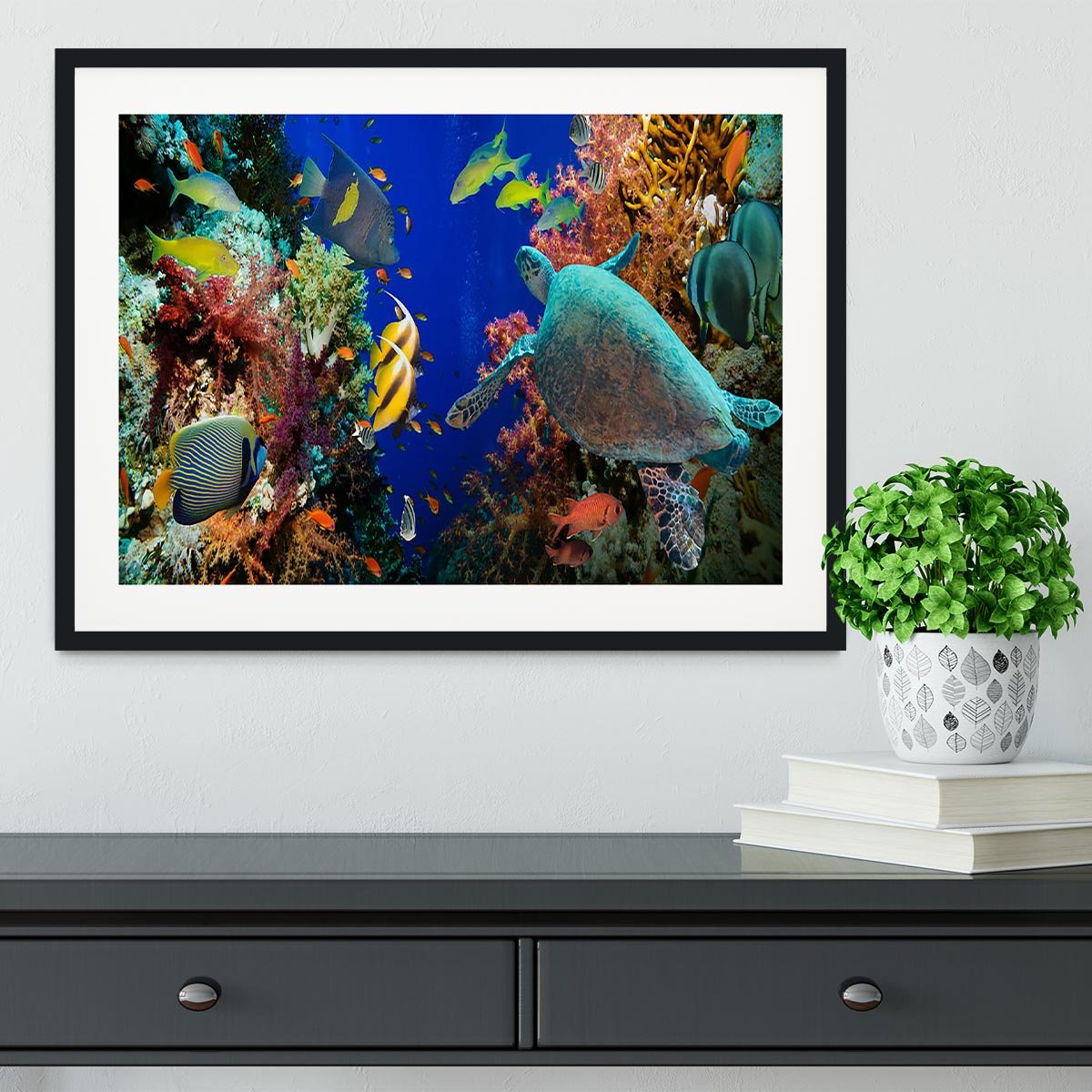 Tropical Anthias fish with net fire corals and shark on Red Sea reef Framed Print - Canvas Art Rocks - 1