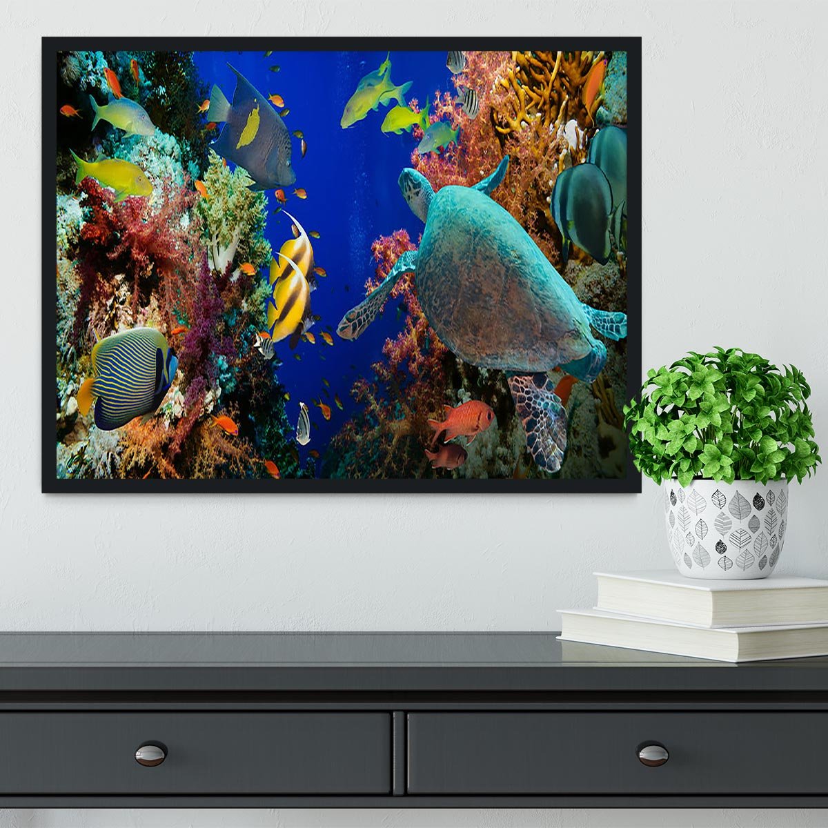 Tropical Anthias fish with net fire corals and shark on Red Sea reef Framed Print - Canvas Art Rocks - 2