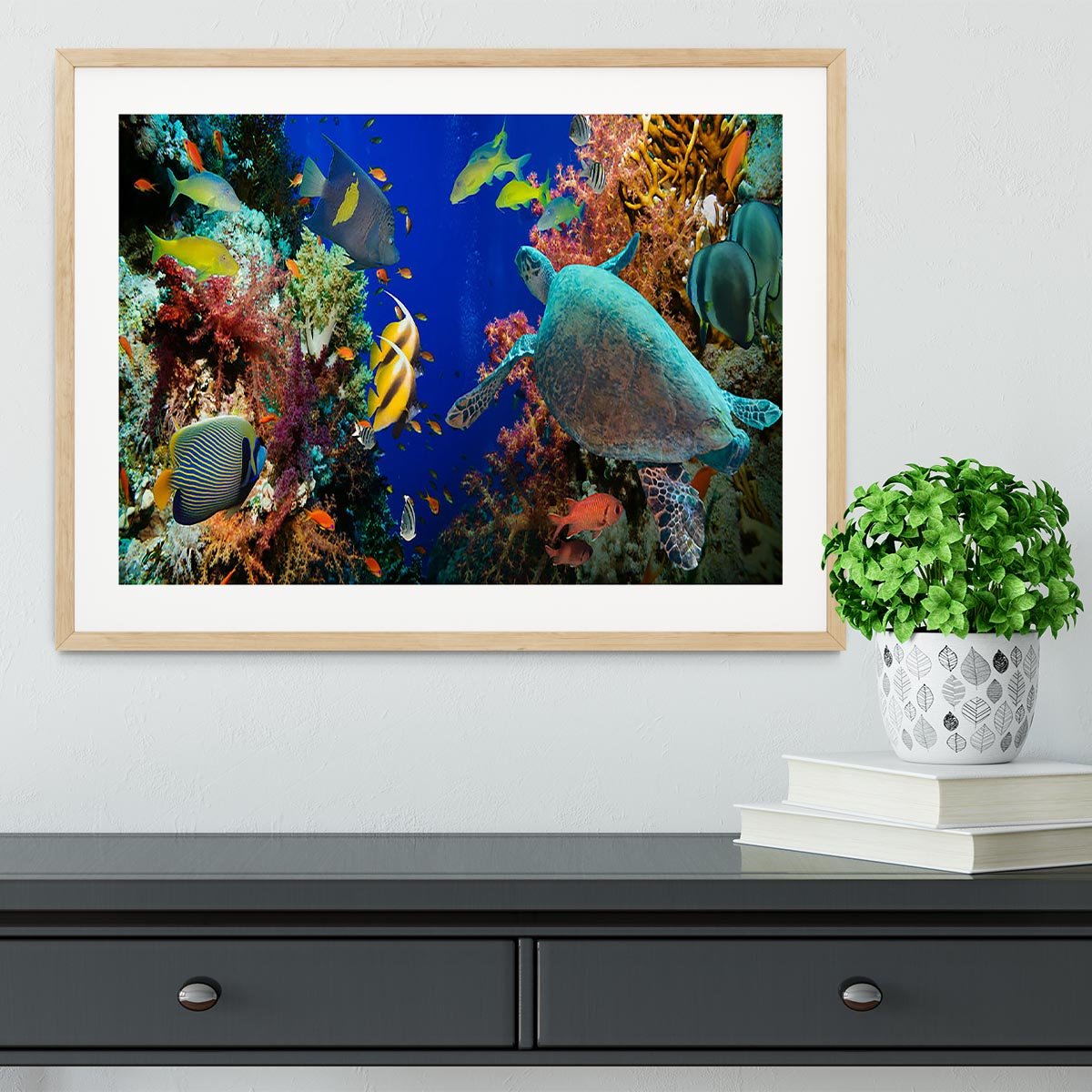 Tropical Anthias fish with net fire corals and shark on Red Sea reef Framed Print - Canvas Art Rocks - 3