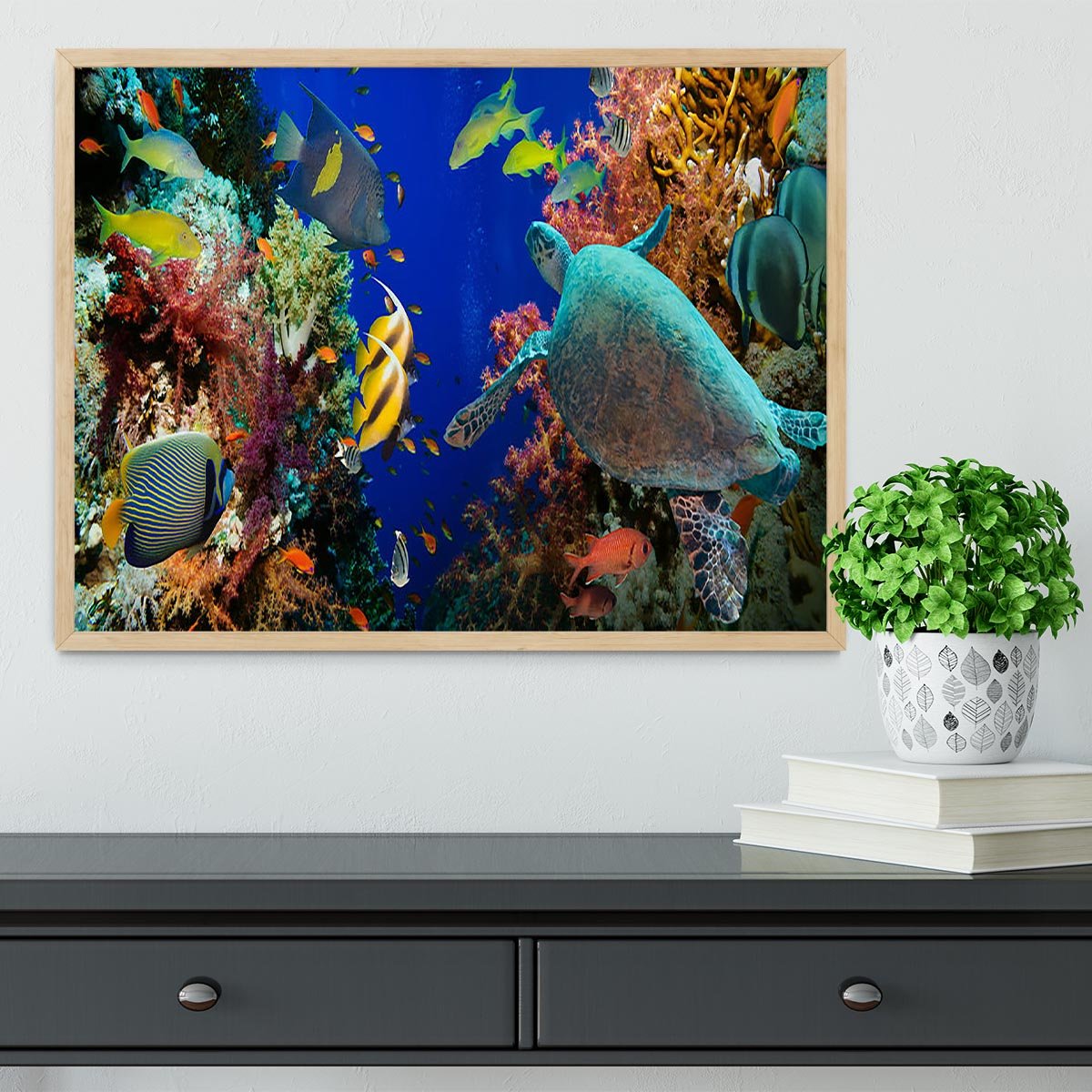 Tropical Anthias fish with net fire corals and shark on Red Sea reef Framed Print - Canvas Art Rocks - 4