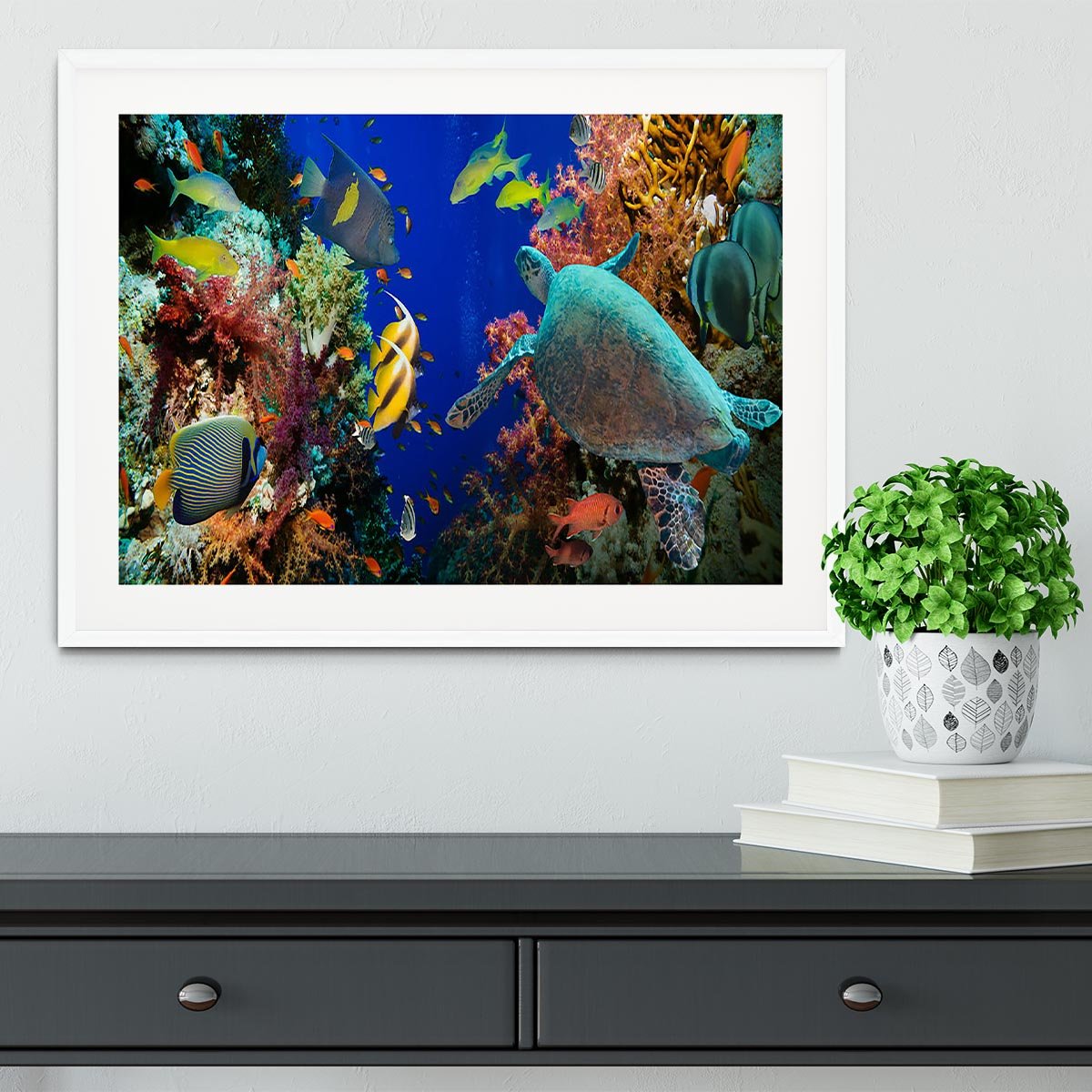 Tropical Anthias fish with net fire corals and shark on Red Sea reef Framed Print - Canvas Art Rocks - 5