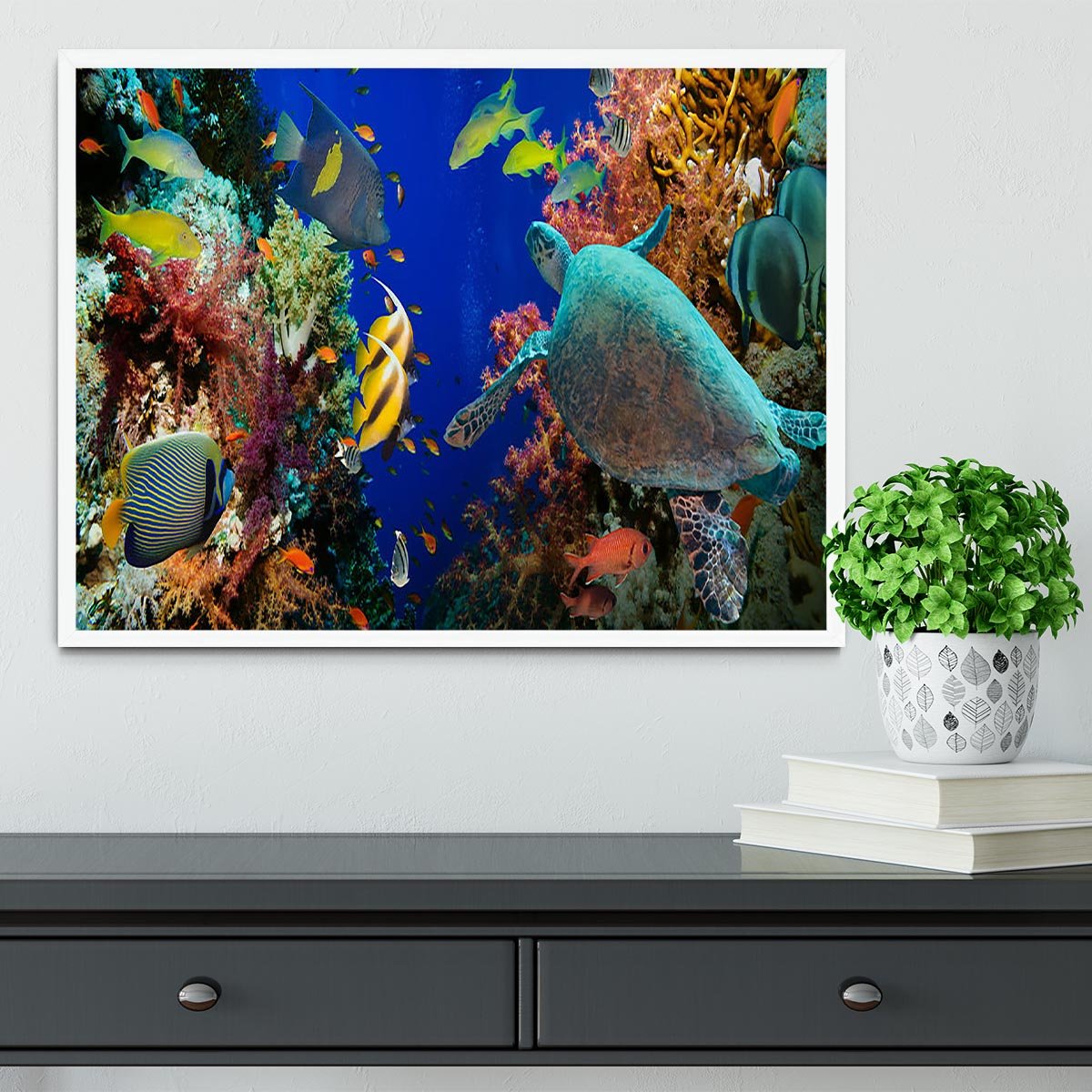 Tropical Anthias fish with net fire corals and shark on Red Sea reef Framed Print - Canvas Art Rocks -6